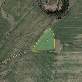 Prodej zemědělské půdy 31 044 m² Zvěrotice