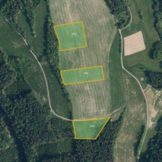 Prodej zemědělské půdy 27 556 m² Jílové u Držkova