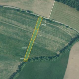 Prodej zemědělské půdy 16801 m² Žichovice