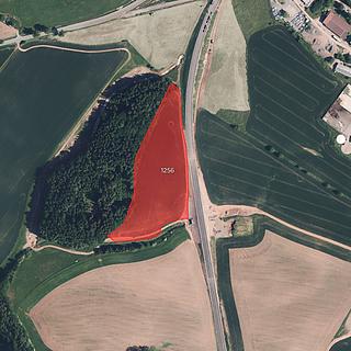 Prodej zemědělské půdy 26209 m&sup2; Nová Paka