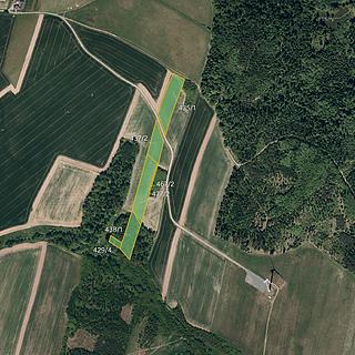 Prodej zemědělské půdy 17 735 m² Melč