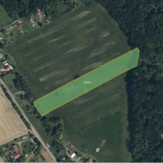 Prodej louky 7 832 m² Vysoké Mýto Choceňské Předměstí