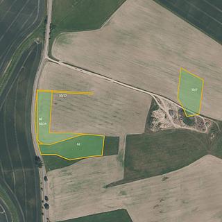 Prodej zemědělské půdy 12 538 m² Čížová Zlivice