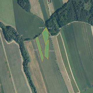 Prodej zemědělské půdy 19 908 m² Starý Jičín Vlčnov