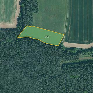 Prodej louky 9492 m&sup2; Slabčice