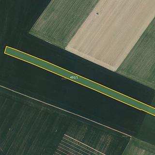 Prodej zemědělské půdy 18 071 m² Luže Radim