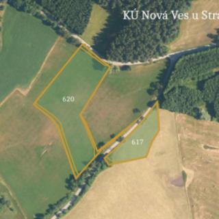 Prodej louky 66 544 m² Nová Ves