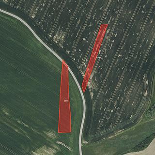 Prodej zemědělské půdy 2863 m&sup2; Radošovice