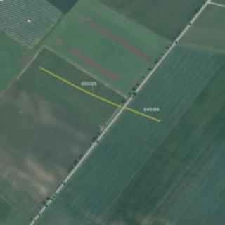 Prodej zemědělské půdy 3014 m² Holasice