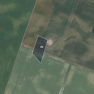 Prodej zemědělské půdy 7 028 m² Jestřabí Lhota