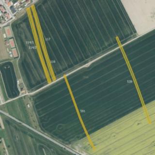Prodej zemědělské půdy 25498 m² Kněžpole