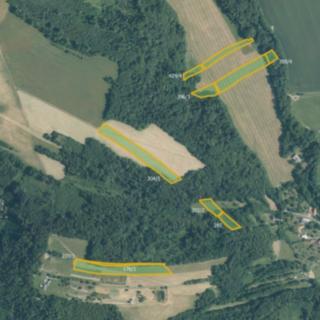 Prodej louky 41 074 m² Hranice II-Lhotka