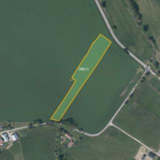 Prodej zemědělské půdy 5599 m² Mladějov