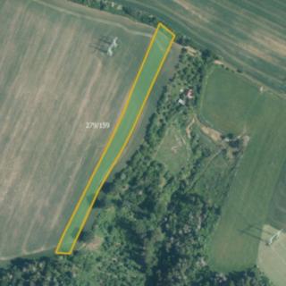 Prodej zemědělské půdy 26367 m² Přibyslavice