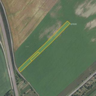 Prodej zemědělské půdy 6 602 m² Kuchařovice
