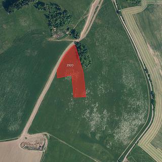Prodej zemědělské půdy 8 711 m² Benešov u Semil
