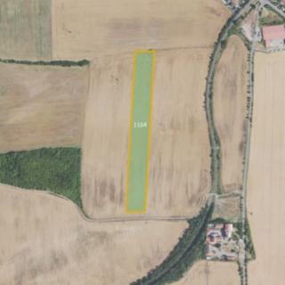 Prodej zemědělské půdy 12 588 m² Stehelčeves