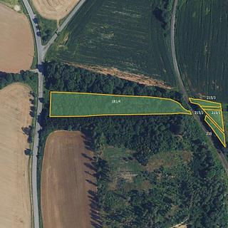 Prodej lesa 9 935 m² Městečko Trnávka