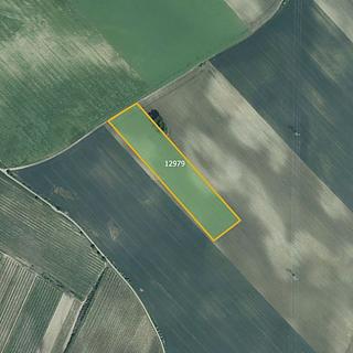 Prodej zemědělské půdy 26 029 m² Mutěnice