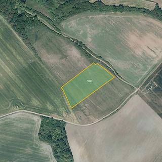 Prodej zemědělské půdy 9463 m&sup2; Libořice