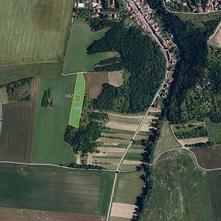 Prodej zemědělské půdy 8130 m&sup2; Velatice