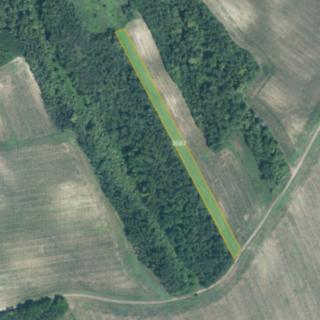 Prodej zemědělské půdy 5144 m² Čejč