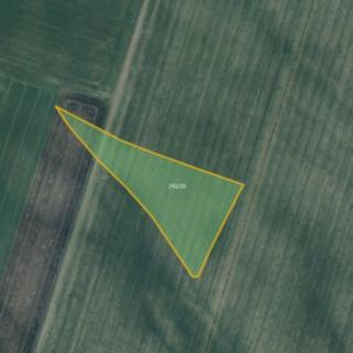 Prodej zemědělské půdy 13 703 m² Račiněves