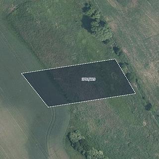 Prodej zemědělské půdy 4160 m&sup2; Trstěnice