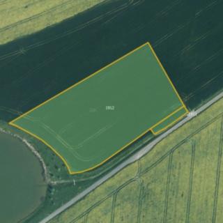 Prodej zemědělské půdy 15 592 m² Koloveč