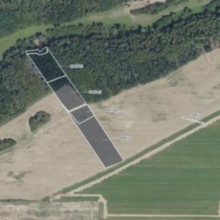 Prodej lesa 19 741 m² Vyšehořovice