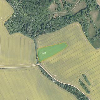 Prodej zemědělské půdy 4881 m&sup2; Traplice