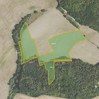 Prodej zemědělské půdy 20 560 m² Hřebečníky Týřovice