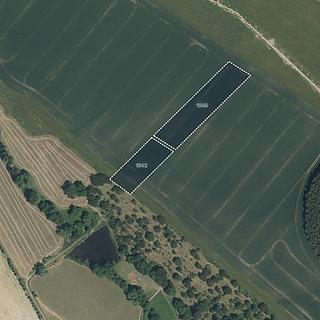 Prodej zemědělské půdy 8 248 m² Soběkury Horušany