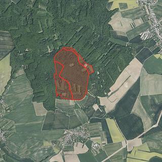 Prodej lesa 3240 m² Zdounky