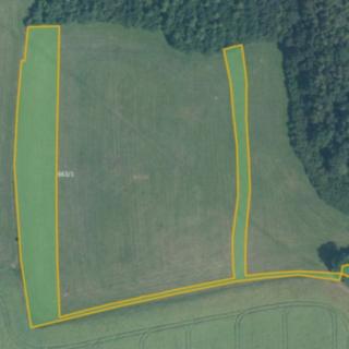 Prodej louky 5 992 m² Choryně
