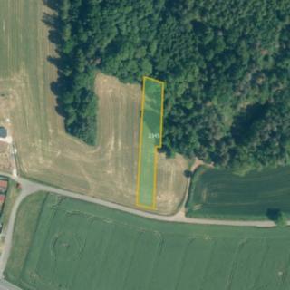 Prodej zemědělské půdy 38941 m² Bolešiny