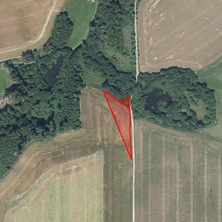 Prodej zemědělské půdy 6511 m&sup2; Velká Losenice