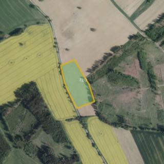Prodej zemědělské půdy 23 406 m² Hořepník Mašovice