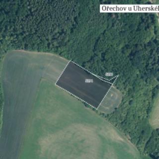 Prodej zemědělské půdy 12 328 m² Ořechov