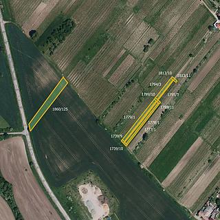 Prodej zemědělské půdy 6 090 m² Nový Poddvorov