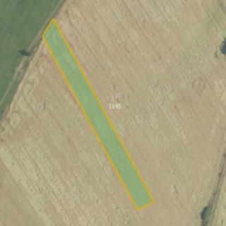 Prodej zemědělské půdy 19085 m² Podluhy