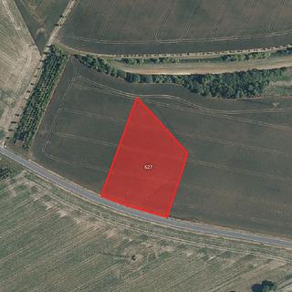 Prodej zemědělské půdy 8 215 m² Benátky nad Jizerou I