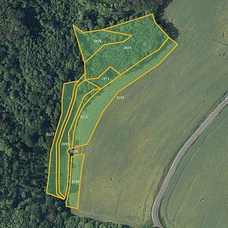 Prodej louky 28 333 m² Kostomlaty pod Milešovkou