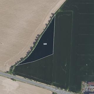 Prodej zemědělské půdy 6 976 m² Suchdol Vysoká