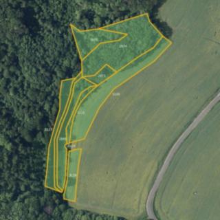 Prodej louky 28333 m² Kostomlaty pod Milešovkou