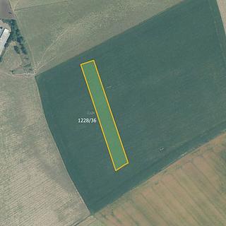 Prodej zemědělské půdy 9139 m² Dřevohostice