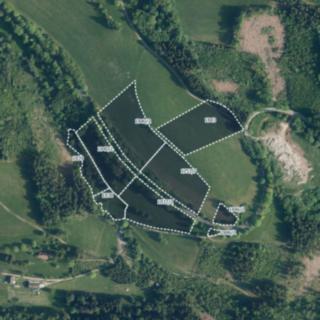 Prodej zemědělské půdy 21 482 m² Vysoké nad Jizerou Sklenařice