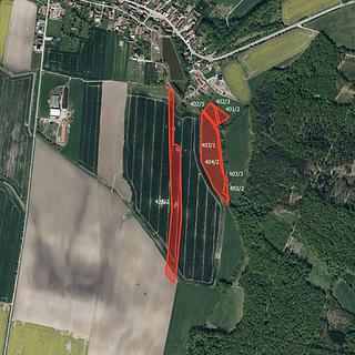 Prodej zemědělské půdy 46 405 m² Dolní Roveň Litětiny