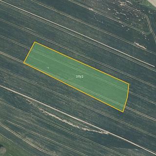 Prodej zemědělské půdy 6 891 m² Nová Ves u Světlé