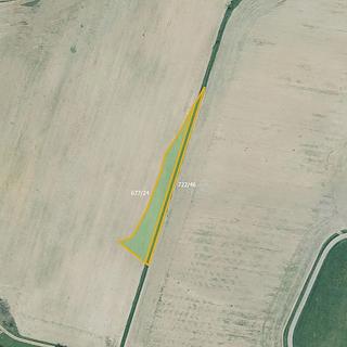 Prodej zemědělské půdy 3 569 m² Příkosice